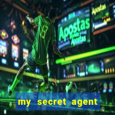 my secret agent husband legendado